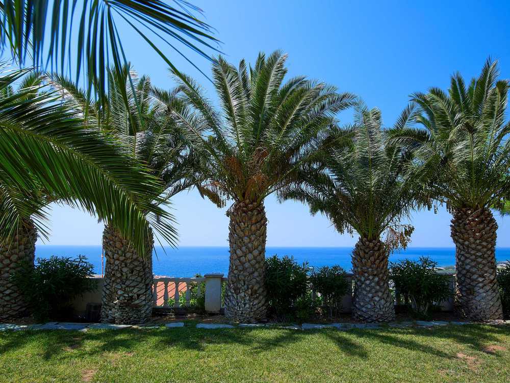 Aroma Creta Otel Koutsounari İç mekan fotoğraf